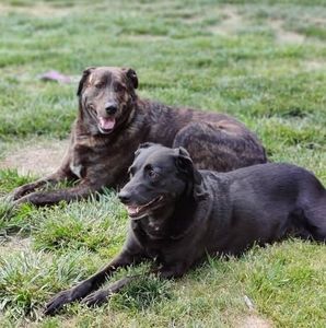 Meet your Posher, Lori